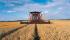 Moissonneuse-batteuses Case IH Axial Flow 7088