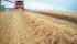 Moissonneuse-batteuses Case IH Axial Flow 8120