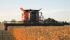 Moissonneuse-batteuses Case IH Axial Flow 8120