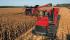Moissonneuse-batteuses Case IH Axial Flow 8120