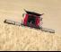 Moissonneuse-batteuses Case IH Axial Flow 9250