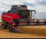 Moissonneuse-batteuses Massey Ferguson Beta 7370