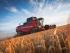 Moissonneuse-batteuses Massey Ferguson Beta 7370