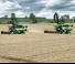 Moissonneuse-batteuses DEUTZ-FAHR C 6205 TS Farmline