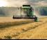 Moissonneuse-batteuses DEUTZ-FAHR C 6205 TS Farmline