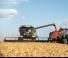 Moissonneuse-batteuses Fendt Corus 526 