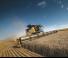 Moissonneuse-batteuses New Holland CR8.90 Tracks+DFR