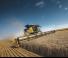 Moissonneuse-batteuses New Holland CR8.90 ST5