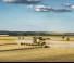 Moissonneuse-batteuses New Holland CR8.90 12.5