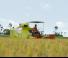 Moissonneuse-batteuses Claas Crop Tiger 30 Terra Trac