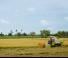 Moissonneuse-batteuses Claas Crop Tiger 40 Terra Trac
