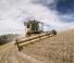 Moissonneuse-batteuses New Holland CX5.90 Laterale