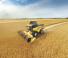 Moissonneuse-batteuses New Holland CX6.80