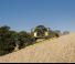 Moissonneuse-batteuses New Holland CX6.90 Laterale 