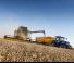 Moissonneuse-batteuses New Holland CX8.90 Elevation