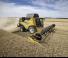 Moissonneuse-batteuses New Holland CX8.90   