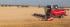 Moissonneuse-batteuses Massey Ferguson Delta 9380 AL