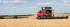Moissonneuse-batteuses Massey Ferguson Delta 9380 AL