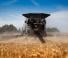 Moissonneuse-batteuses Massey Ferguson Ideal 7 PL