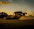 Moissonneuse-batteuses Massey Ferguson Ideal 9 T