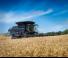 Moissonneuse-batteuses Massey Ferguson Ideal 9 T