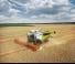 Moissonneuse-batteuses Claas Lexion 6600