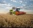 Moissonneuse-batteuses Claas Lexion 6700 