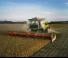 Moissonneuse-batteuses Claas Lexion 6700 TerraTrac 