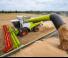 Moissonneuse-batteuses Claas Lexion 6900 