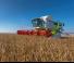Moissonneuse-batteuses Claas Lexion 740