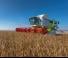 Moissonneuse-batteuses Claas Lexion 750
