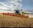 Moissonneuse-batteuses Claas Lexion 7700 