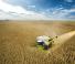 Moissonneuse-batteuses Claas Lexion 7700 TerraTrac 