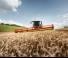Moissonneuse-batteuses Claas Lexion 8500 Terra Trac  