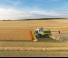 Moissonneuse-batteuses Claas Lexion 8900 TerraTrac 