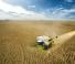 Moissonneuse-batteuses Claas Lexion 8900 TerraTrac 
