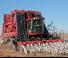 Moissonneuse-batteuses Case IH Module Express 635