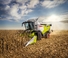 Moissonneuse-batteuses Claas Trion 660   