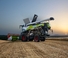 Moissonneuse-batteuses Claas Trion 720 Montana