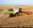 Moissonneuse-batteuses Claas Trion 750 Terra Trac   