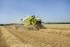 Moissonneuse-batteuses Claas Tucano 430