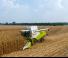 Moissonneuse-batteuses Claas Tucano 550