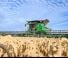 Moissonneuse-batteuses John Deere X9 1000  