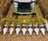 Claas Corio 670 FC