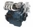 Moteurs Kubota WG1605-N-E3