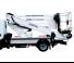 Oil & Steel Snake 2010 Compact REL