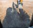 Excavatrice sur chenilles Case CX490D 