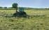 Faneuses rotatives DEUTZ-FAHR CoM 7621