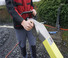 Plaques vibrantes Plaques vibrantes réversibles Ammann APH 6085