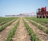 Pulverisateurs Automoteurs Case IH Patriot 4450